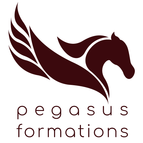 Logo Pegasus Formations